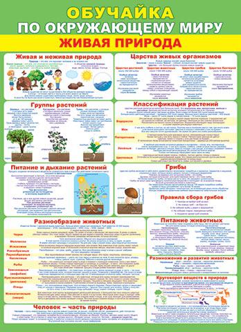 002491/002000 Плакат "Обучайка по окружающему миру" (697*505мм, текст), (МирОткр)